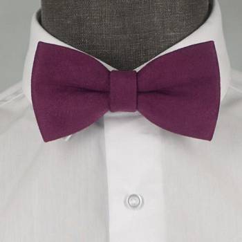 Бабочка мужская 0270