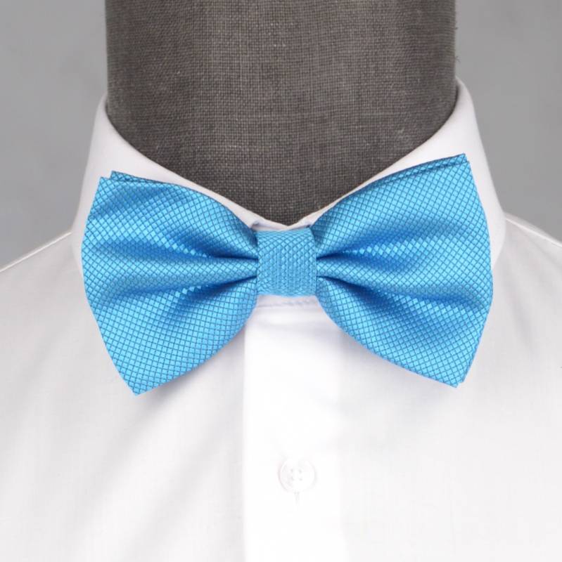 Бабочка мужская 0189