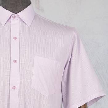 Рубашка мужская Daniel Desch 19011В к/р