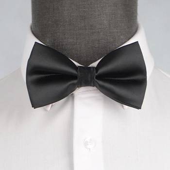 Бабочка мужская 0063