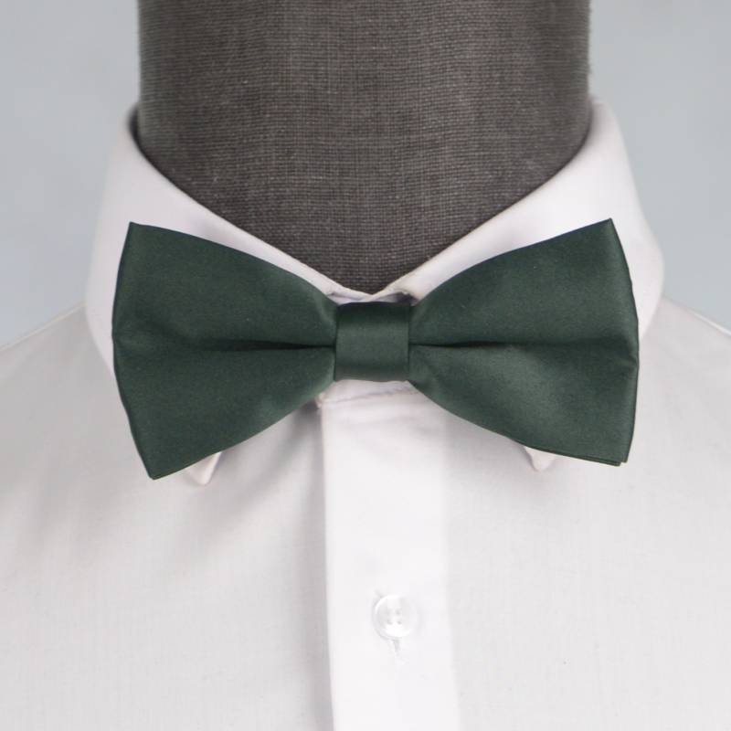 Бабочка мужская 0087