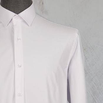 Рубашка мужская Passero PSR23200-3