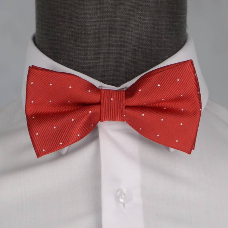 Бабочка мужская 0092