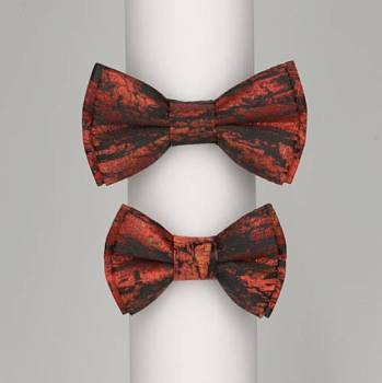 Бабочки FamilyLook 0003